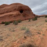 Review photo of TBone Rock by Shandi C., May 30, 2026