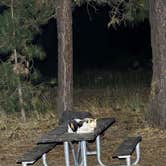 Review photo of Teanaway Campground by Cassiey K., August 10, 2025