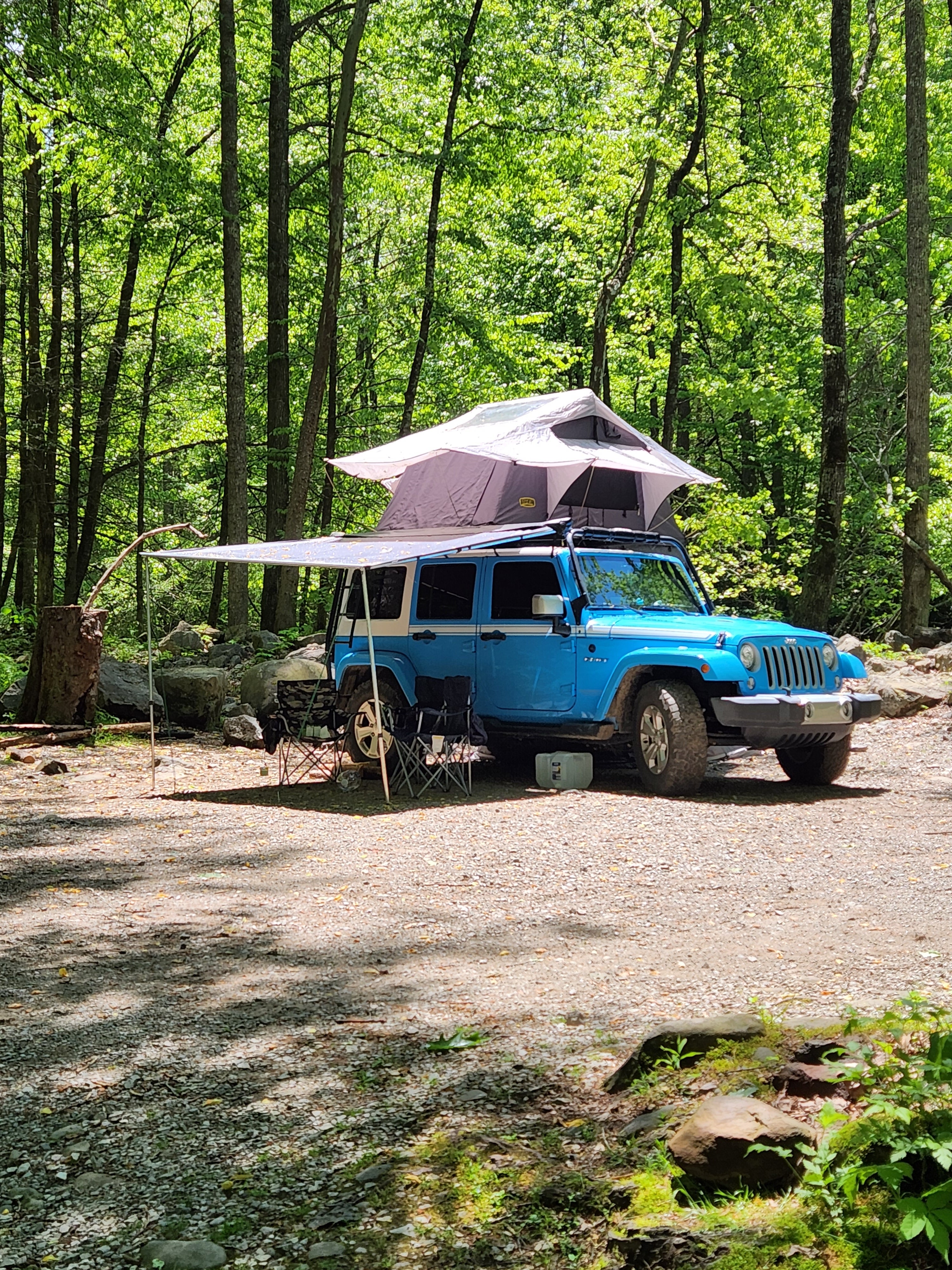 Camper submitted image from Tellico River Campgrounds - 1