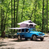 Review photo of Tellico River Campgrounds by DJody H., October 4, 2023