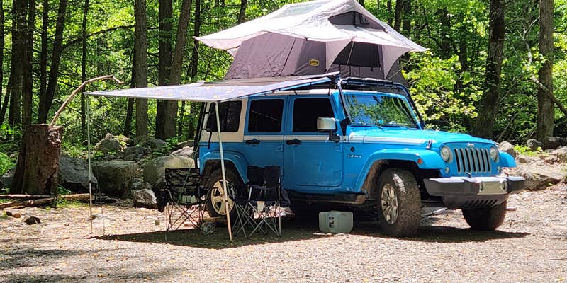 Camper submitted image from Tellico River Campgrounds