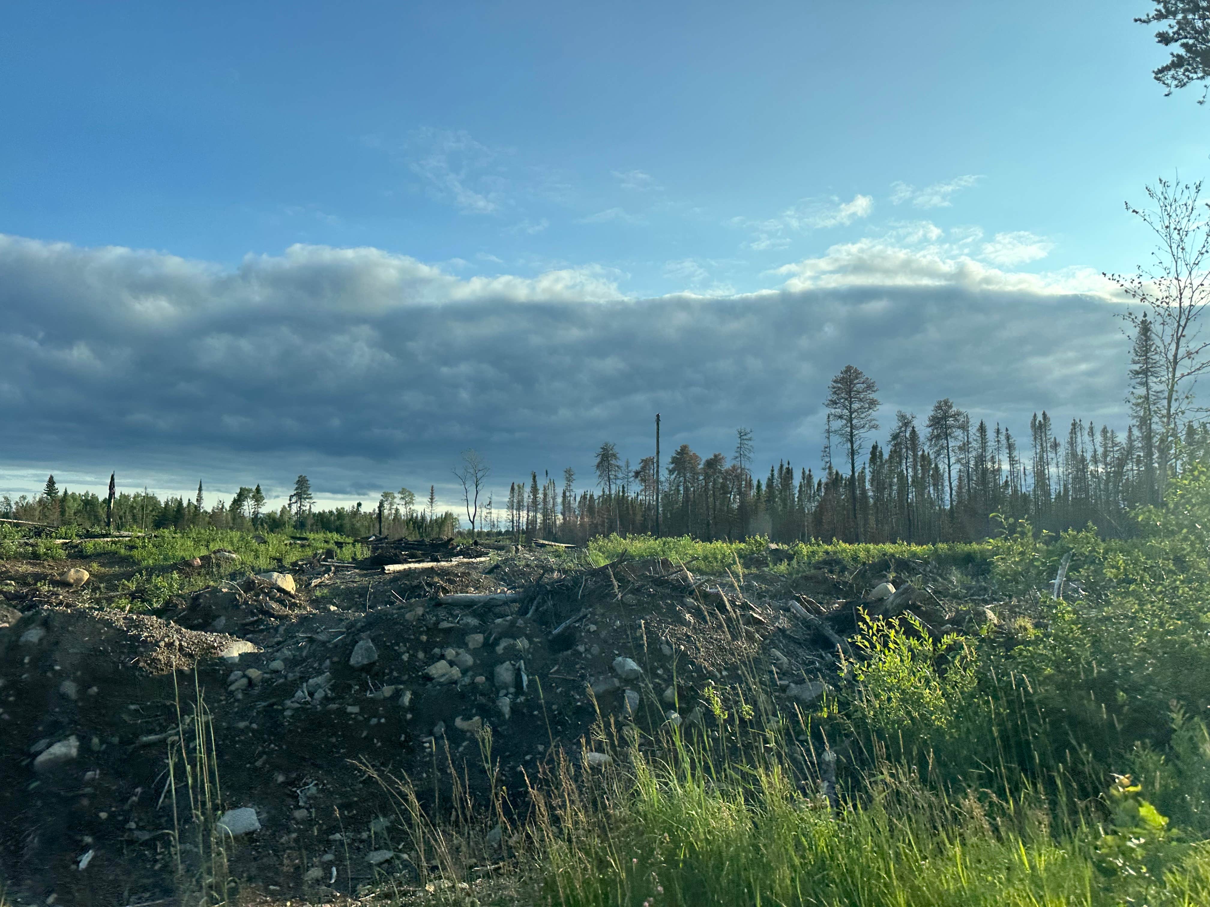 Camper-submitted photo at Temperance River at The Grade near Finland, MN