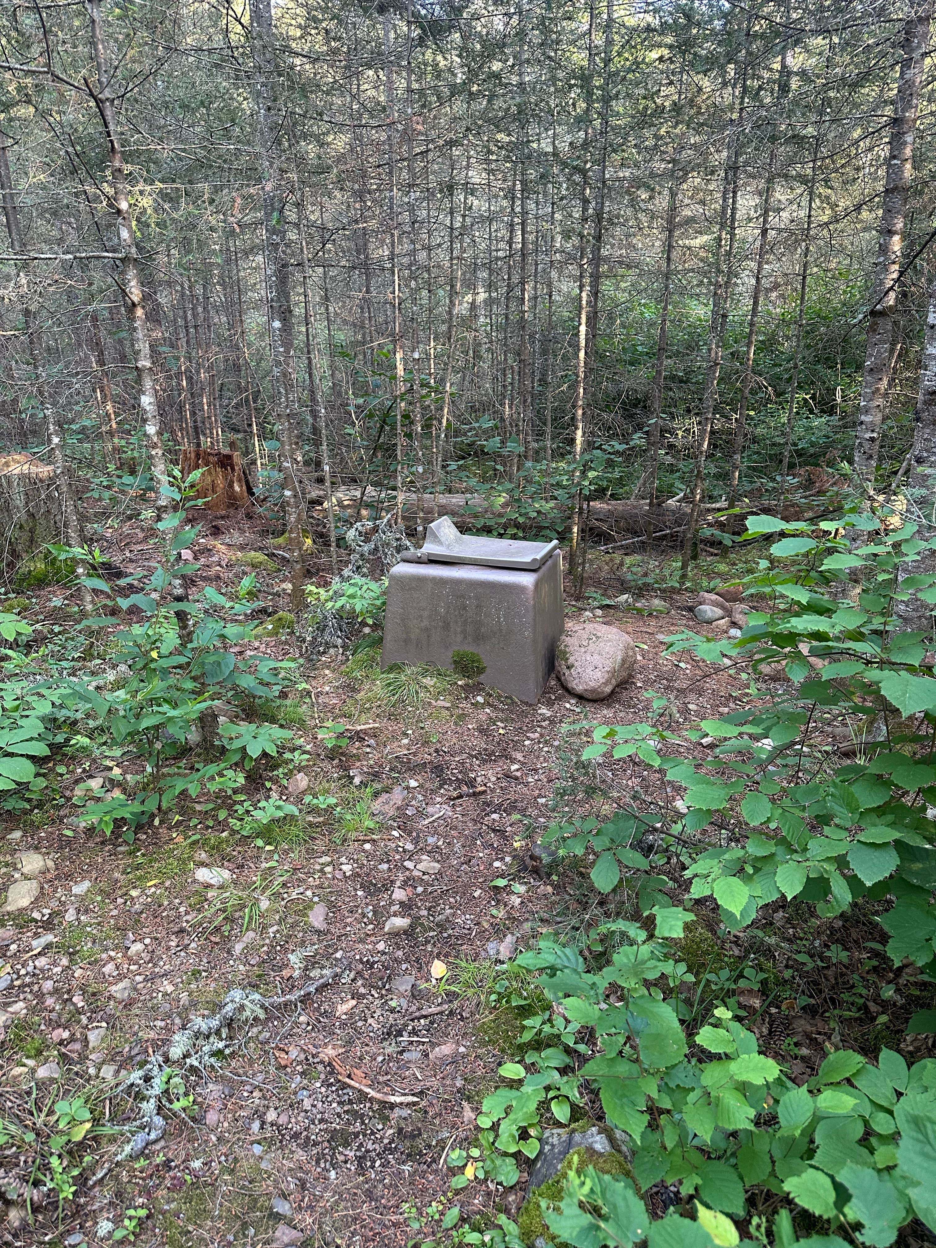 Camper-submitted photo at Temperance River at The Grade near Finland, MN