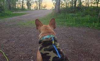 Tori K.'s photo of camping with pets at Temperance River State Park Campground near Lutsen, MN