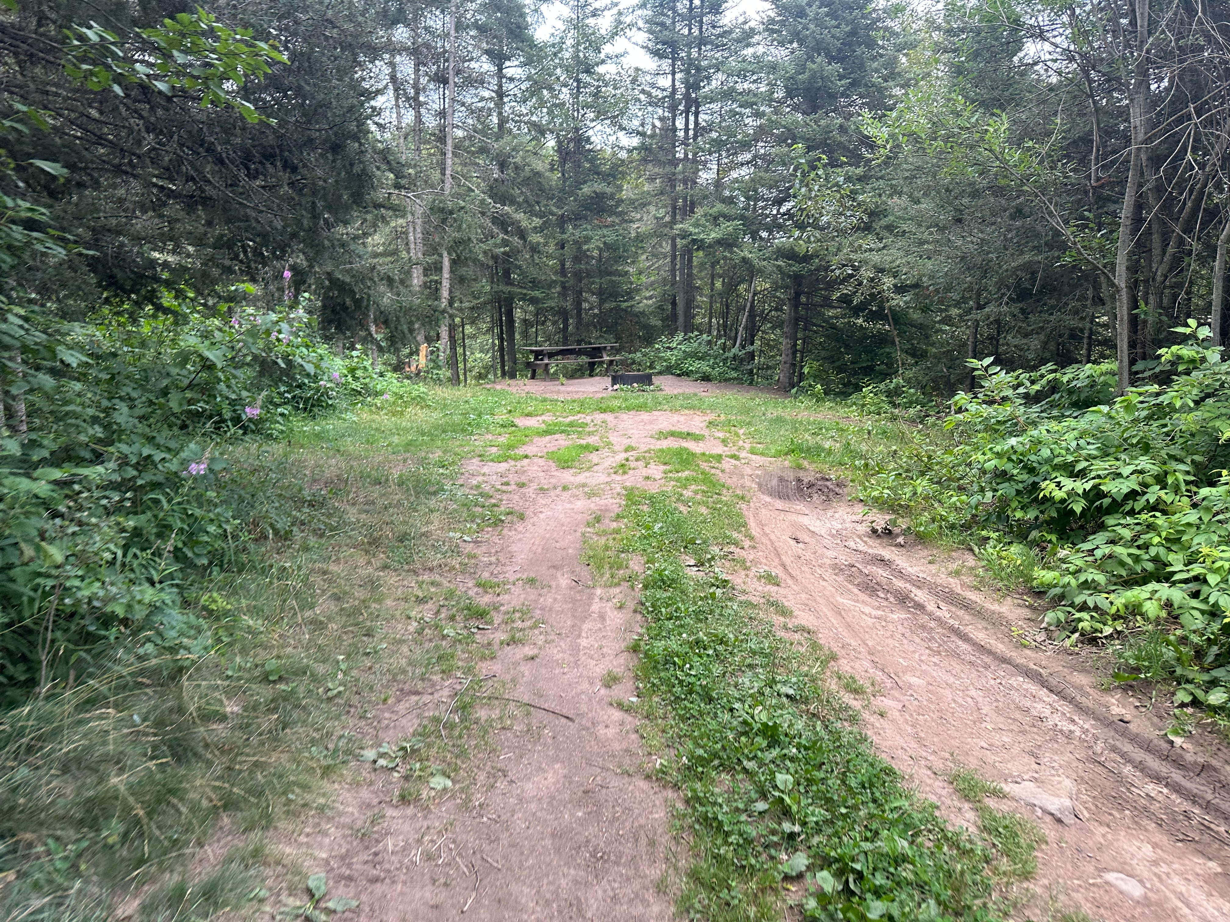 Camper-submitted photo at Temperence River Crossing near Winton, MN