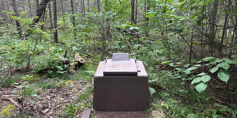 Camper submitted image from Temperence River Crossing