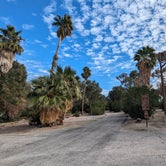 Review photo of Temple Bar Campground — Lake Mead National Recreation Area by Greg L., February 17, 2024