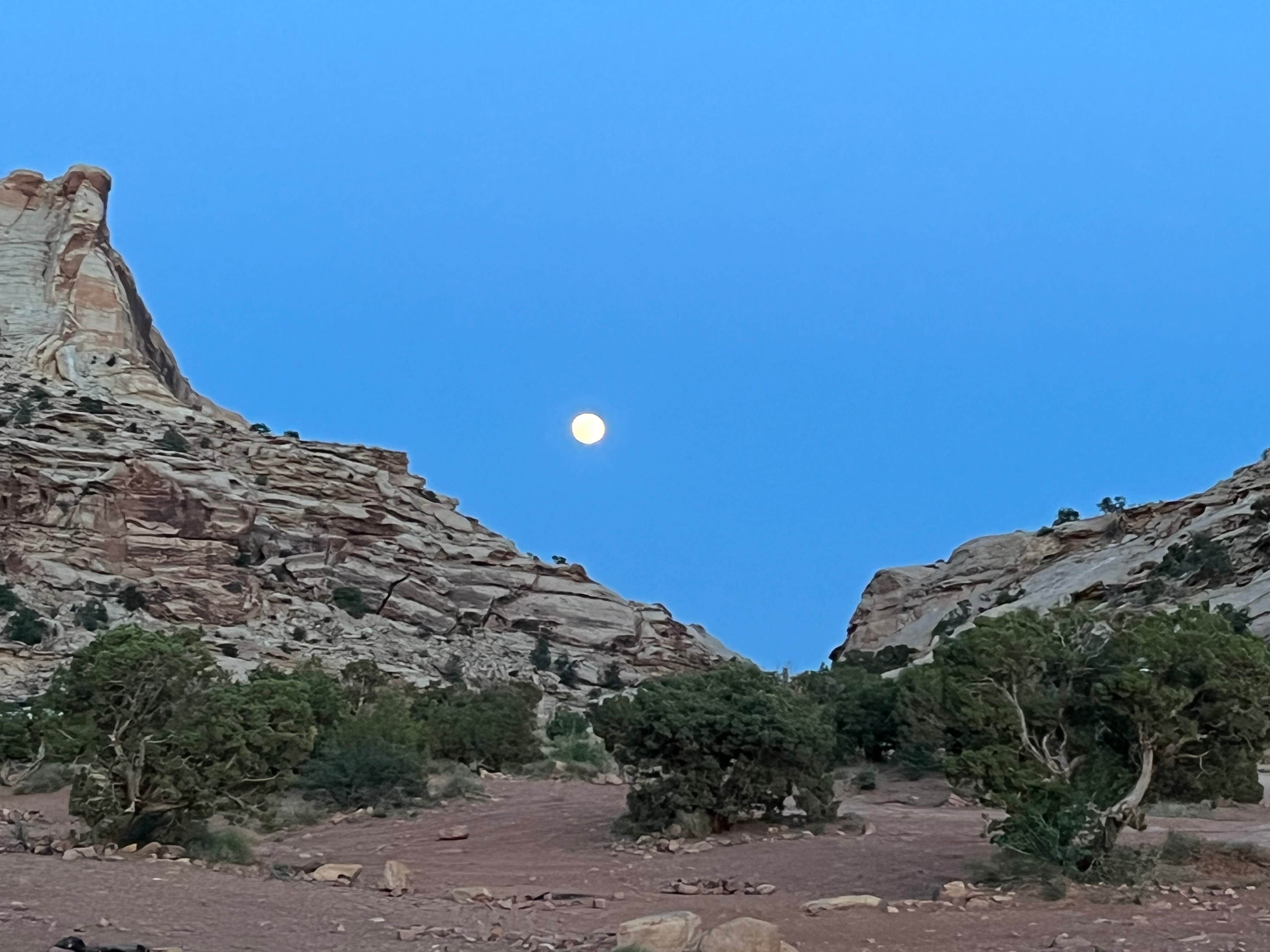 Camper-submitted photo at Temple Mt. Rd. Dispersed near Hanksville, UT