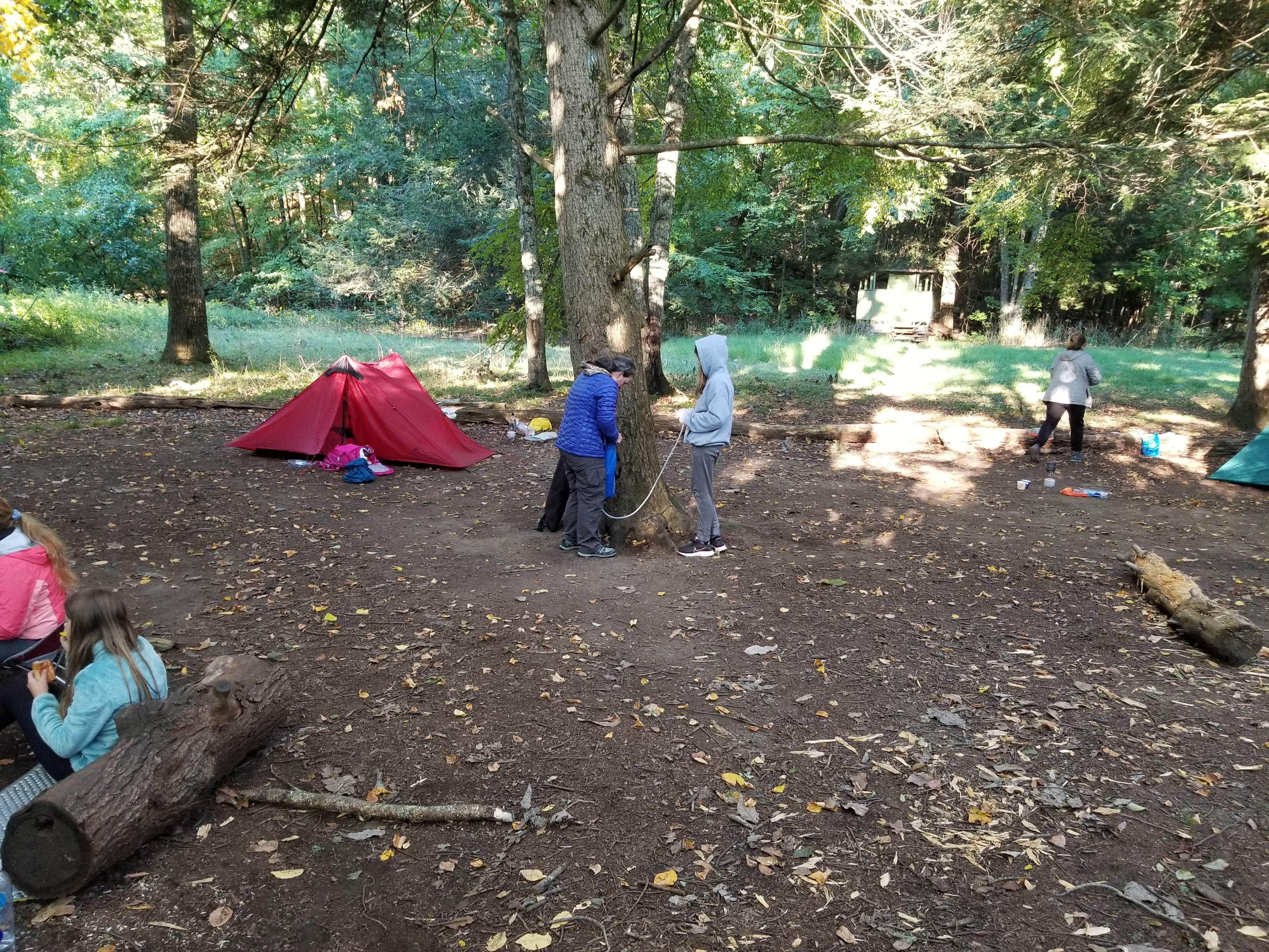 Camper submitted image from Ten Mile River Shelter — Appalachian National Scenic Trail - 1