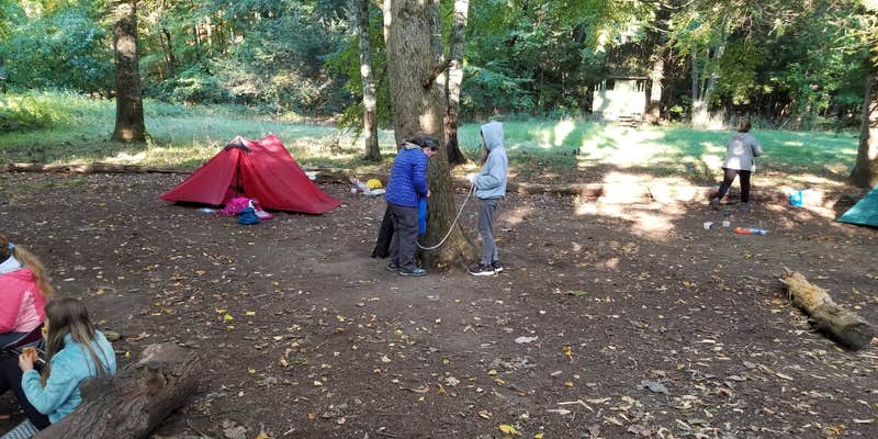 Camper submitted image from Ten Mile River Shelter — Appalachian National Scenic Trail