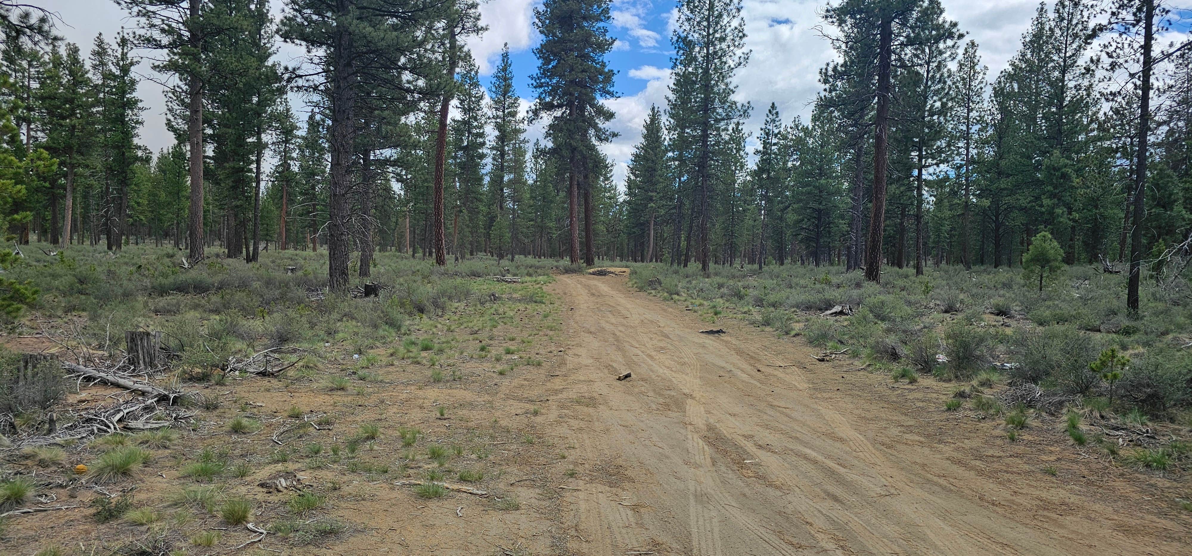 Camper submitted image from Ten Mile Sno-Park - 5