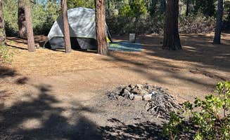 Troy S.'s photo at Tenmile Road Camping Area near Hume, CA