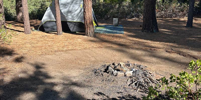 Camper submitted image from Tenmile Road Camping Area