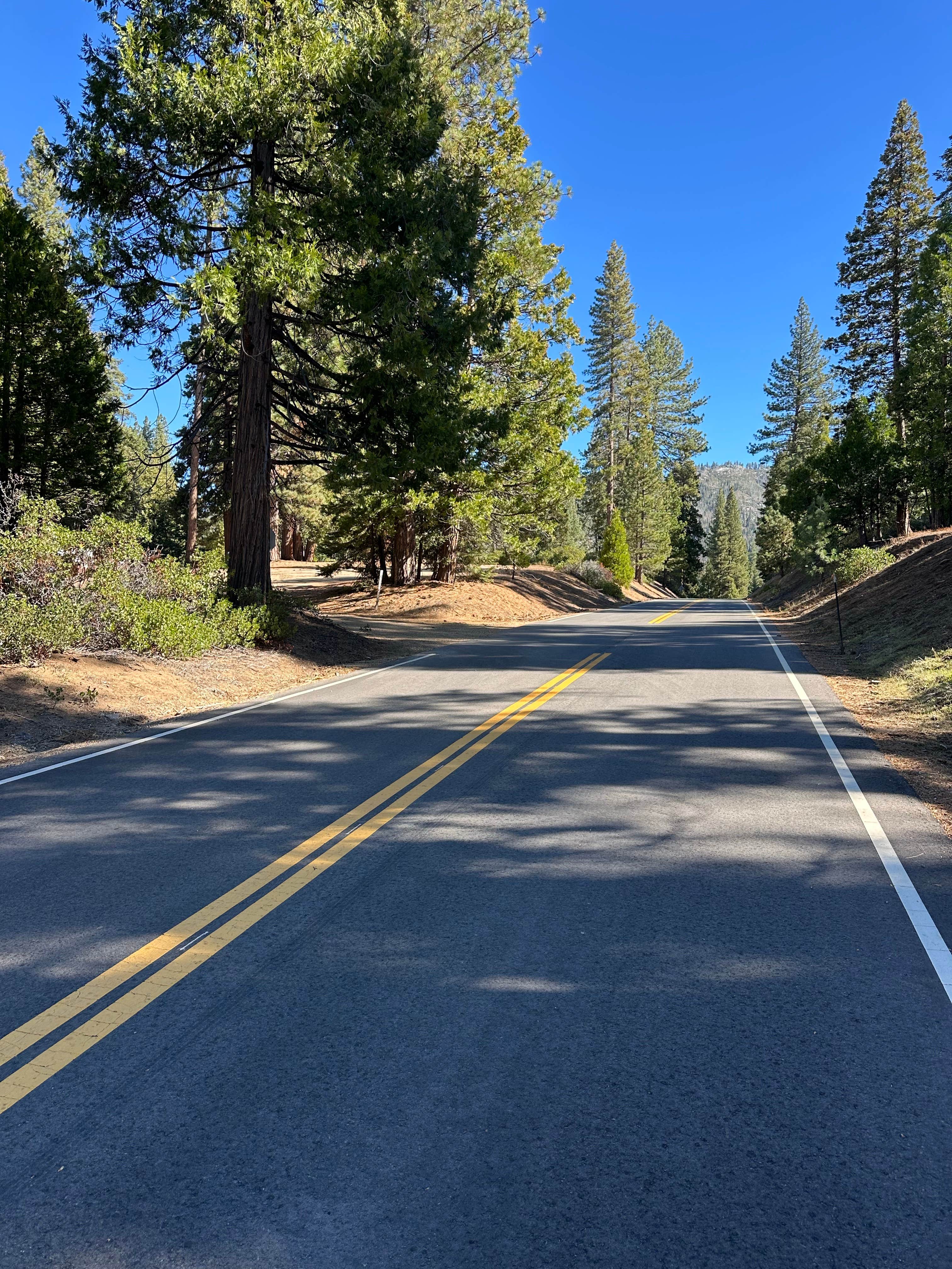 Camper submitted image from Tenmile Road Camping Area - 2