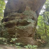 Review photo of Bandy Creek Campground — Big South Fork National River and Recreation Area by Jim M., March 19, 2024