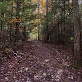 Review photo of Bandy Creek Campground — Big South Fork National River and Recreation Area by Teresa D., October 25, 2024