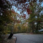 Review photo of Bandy Creek Campground — Big South Fork National River and Recreation Area by Teresa D., October 25, 2024