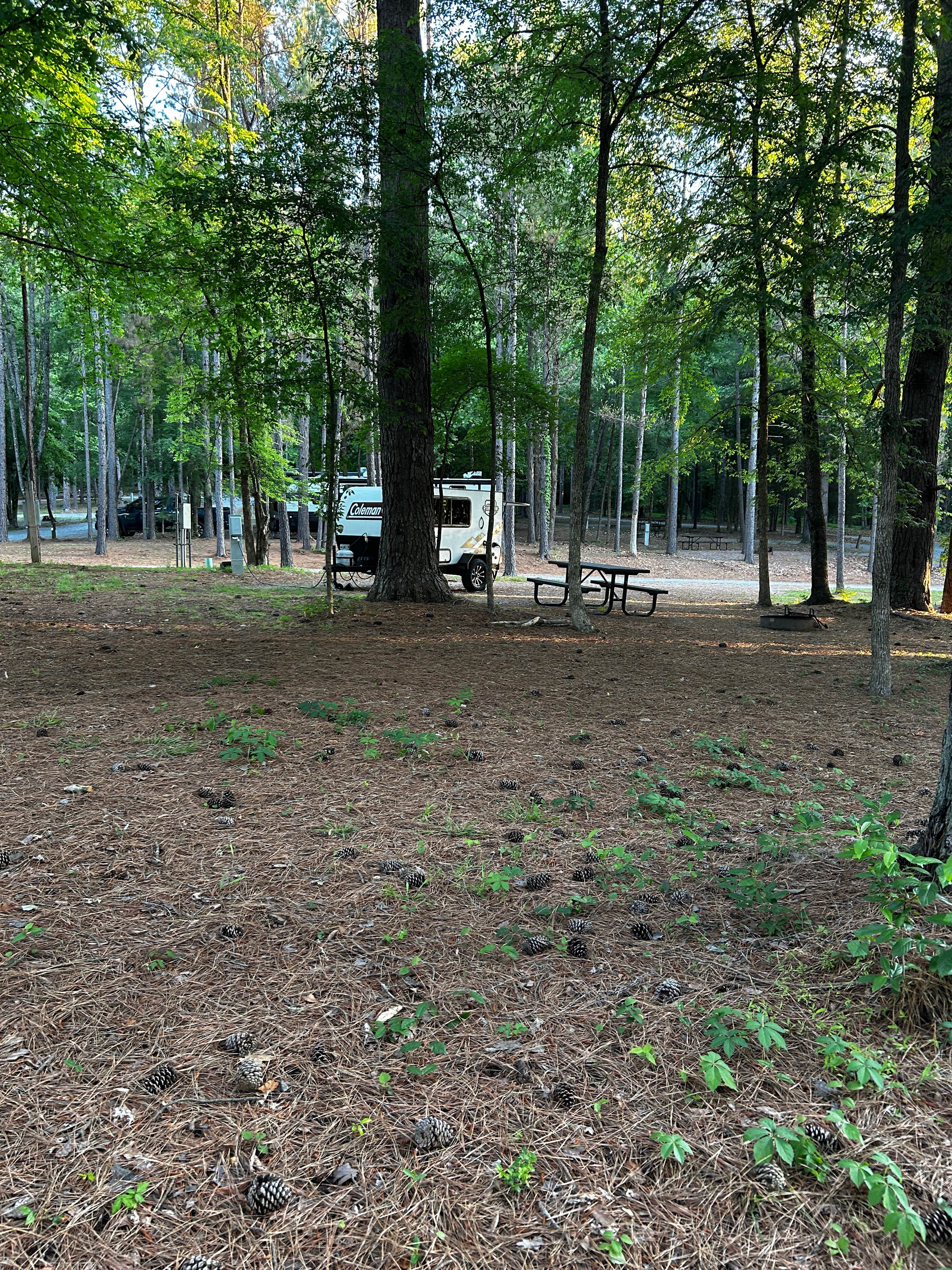 Camper-submitted photo at Barton Springs Campground near Fosterville, TN