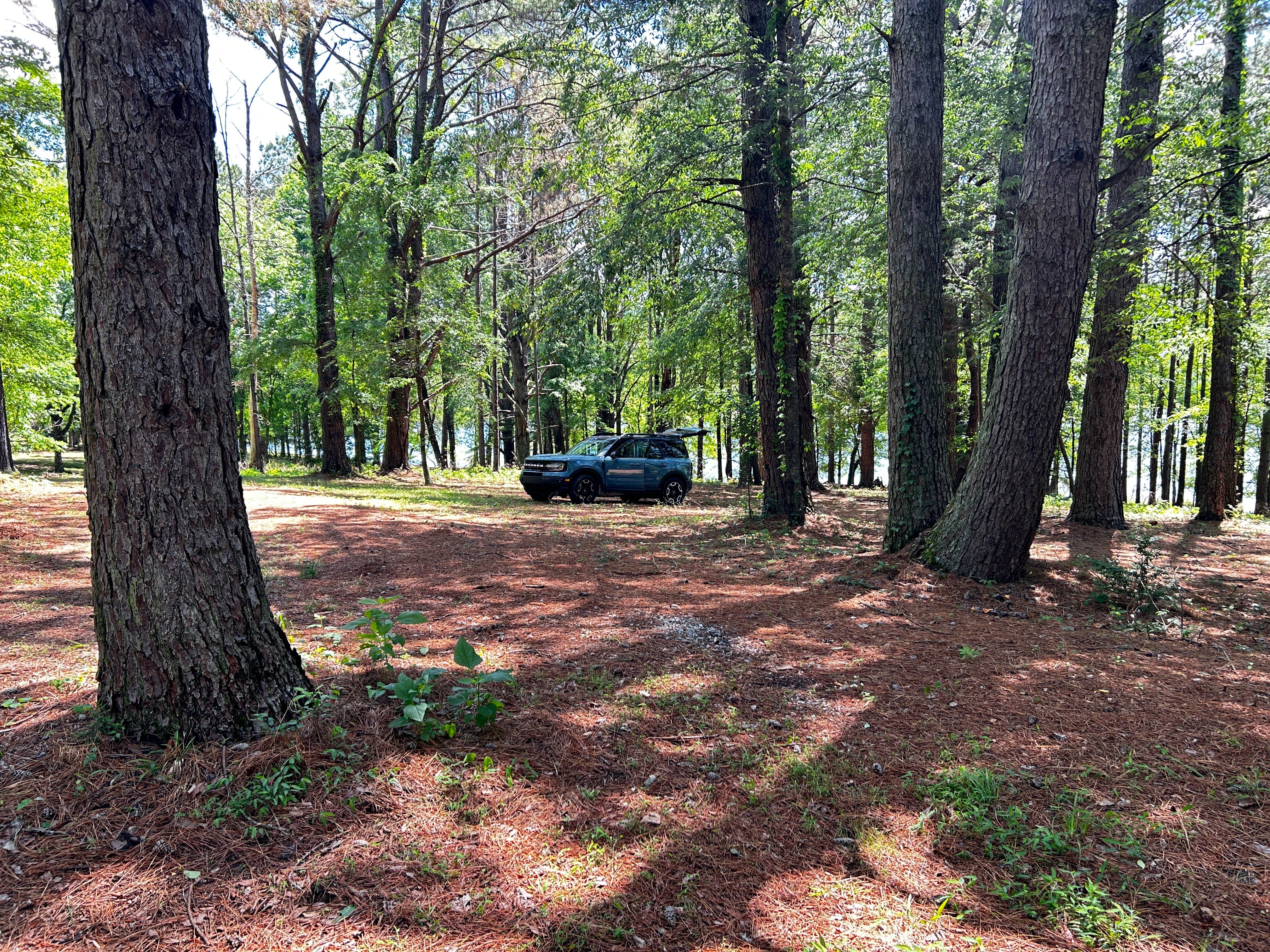 Camper-submitted photo at Barton Springs Campground near Fosterville, TN