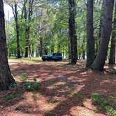 Review photo of Barton Springs Campground by Ray S., May 16, 2026