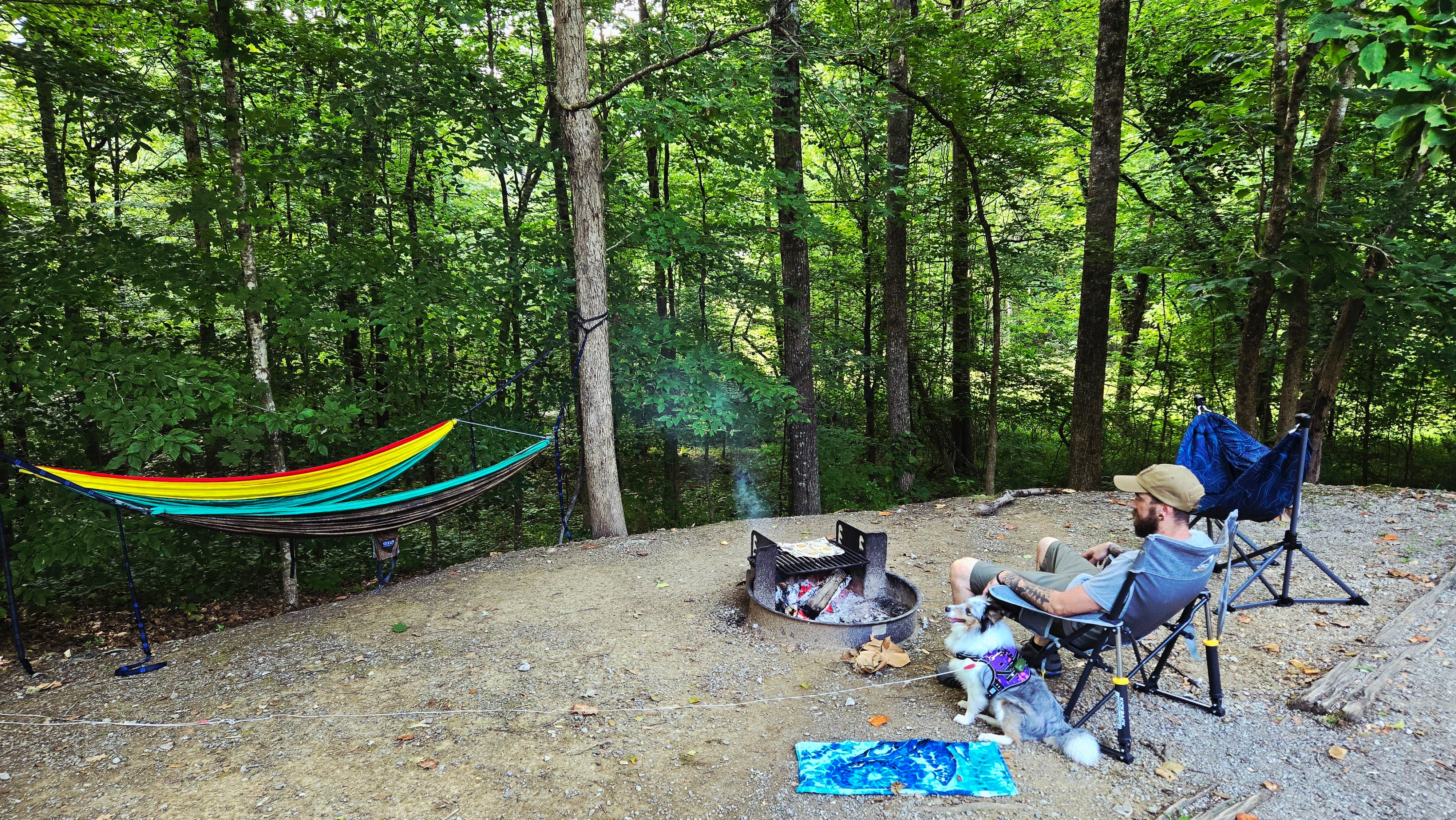 Mary D.'s photo at Big Ridge State Park Campground near Heiskell, TN