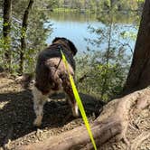 Review photo of Bledsoe Creek State Park Campground by Zeedayz .., April 29, 2025