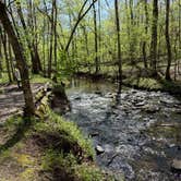 Review photo of Bledsoe Creek State Park Campground by Zeedayz .., April 29, 2025