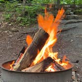 Review photo of Cardens Bluff Campground by Jordan H., June 14, 2026
