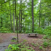 Review photo of Cardens Bluff Campground by Jordan H., June 14, 2026