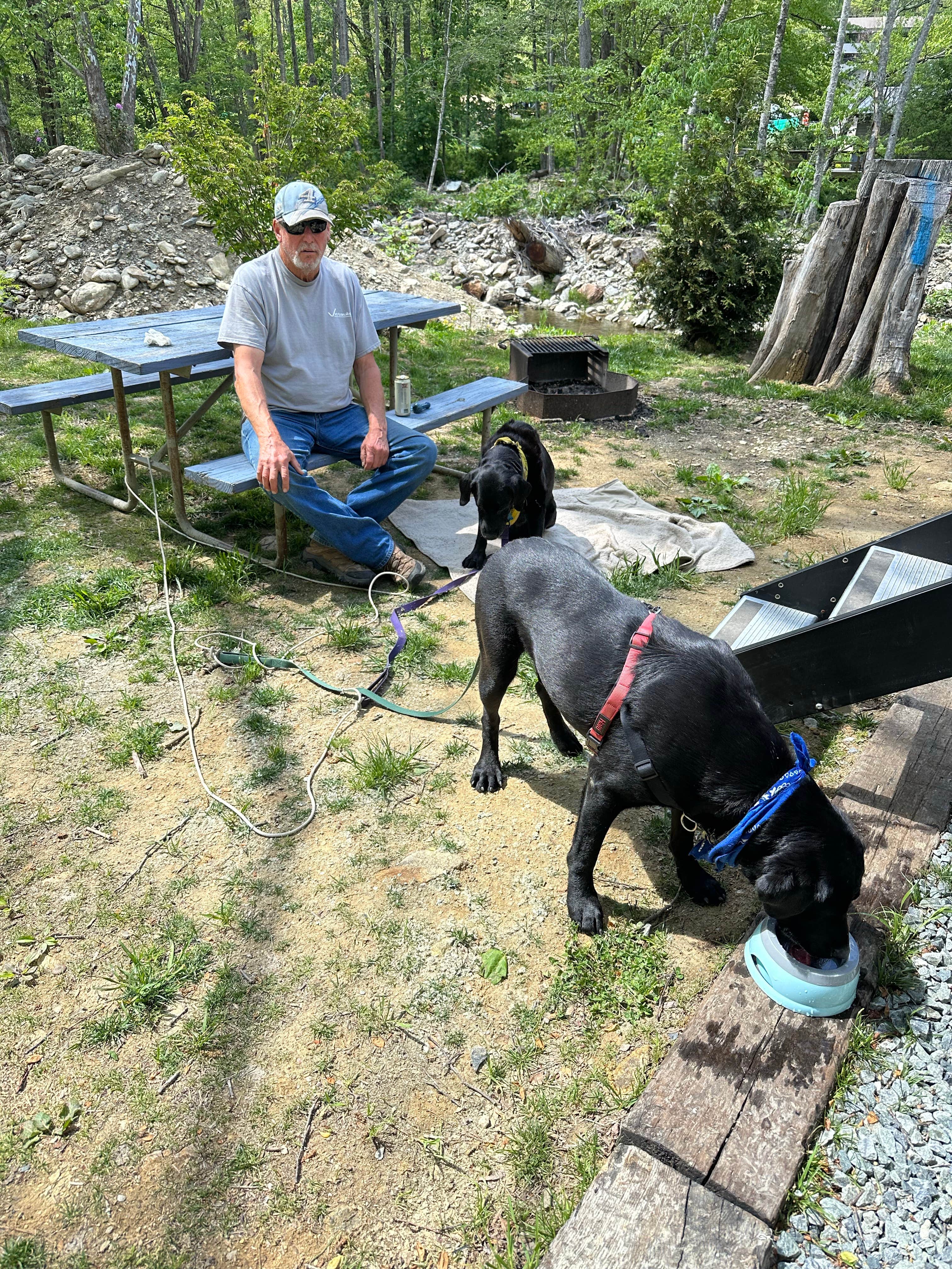 Beth D.'s photo of camping with pets at Cherokee Dam Campground — Tennessee Valley Authority (TVA) near Bean Station, TN
