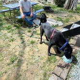 Review photo of Cherokee Dam Campground — Tennessee Valley Authority (TVA) by Beth D., May 3, 2026