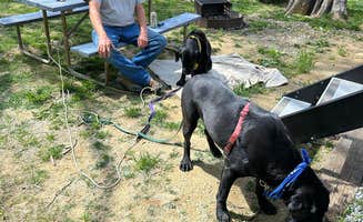 Beth D.'s photo of camping with pets at Cherokee Dam Campground — Tennessee Valley Authority (TVA) near Kodak, TN
