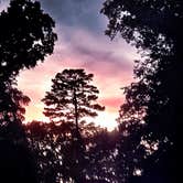Review photo of Chester Frost Park by Kristy C., May 15, 2026