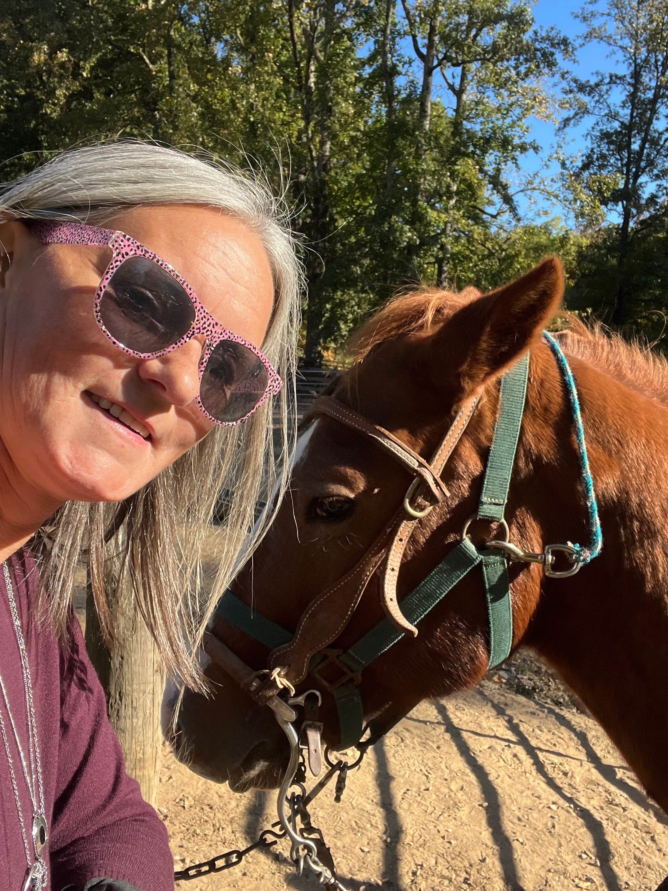 Amanda F.'s photo of camping with a horse at Chickasaw State Park Campground near Stanton, TN