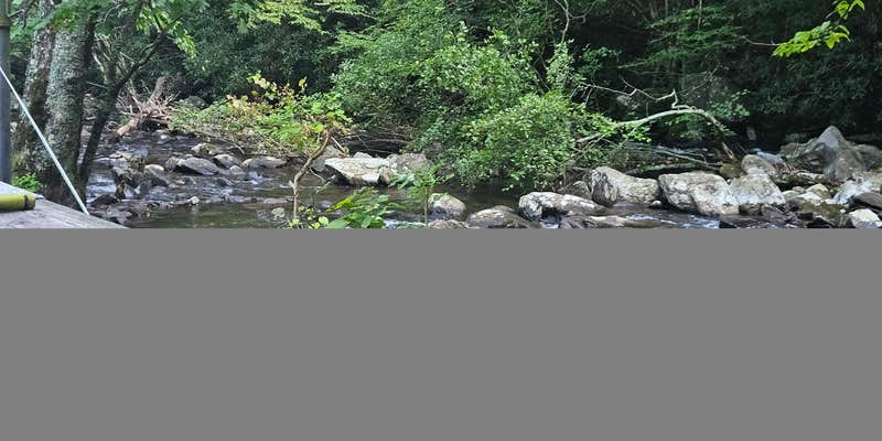 Camper submitted image from Davis Branch Campground