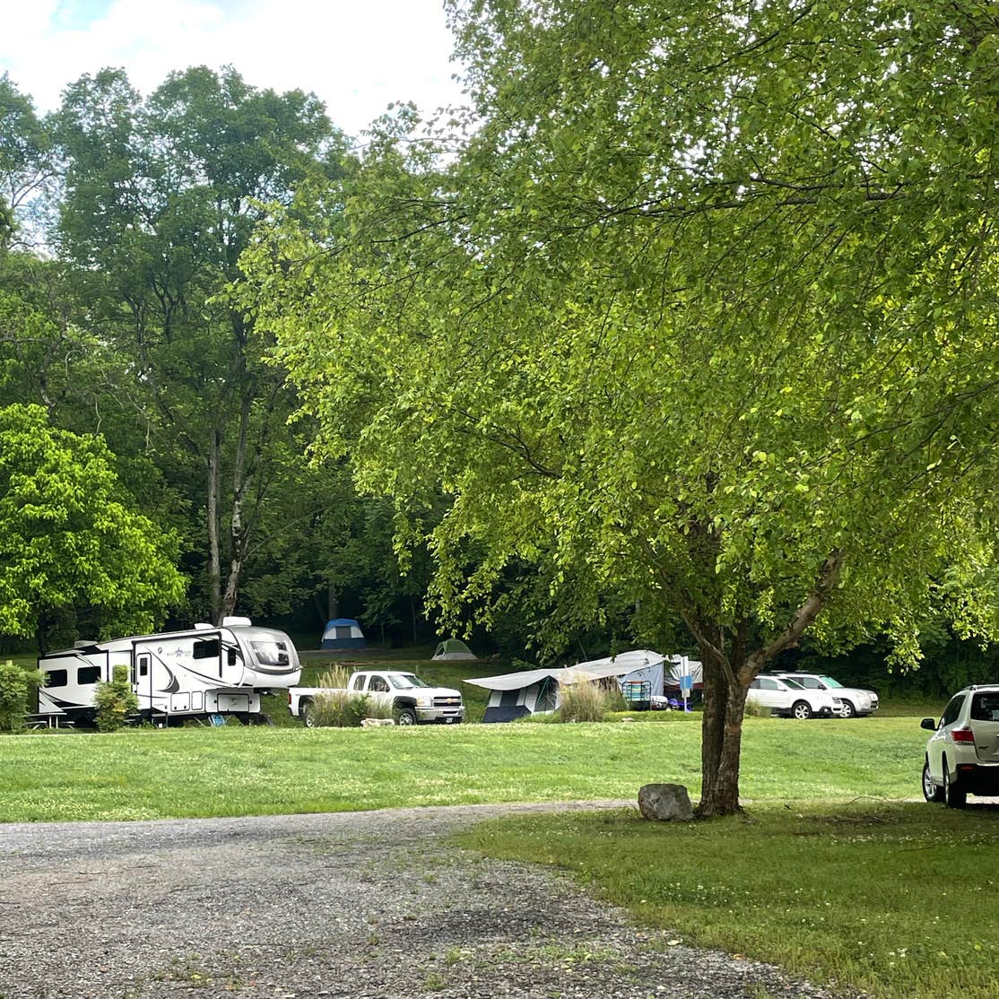 Douglas Tailwater Campground — Tennessee Valley Authority (TVA) Kodak, TN