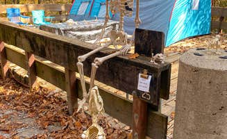 Karlie's photo at Edgar Evins State Park Campground near Lancaster, TN