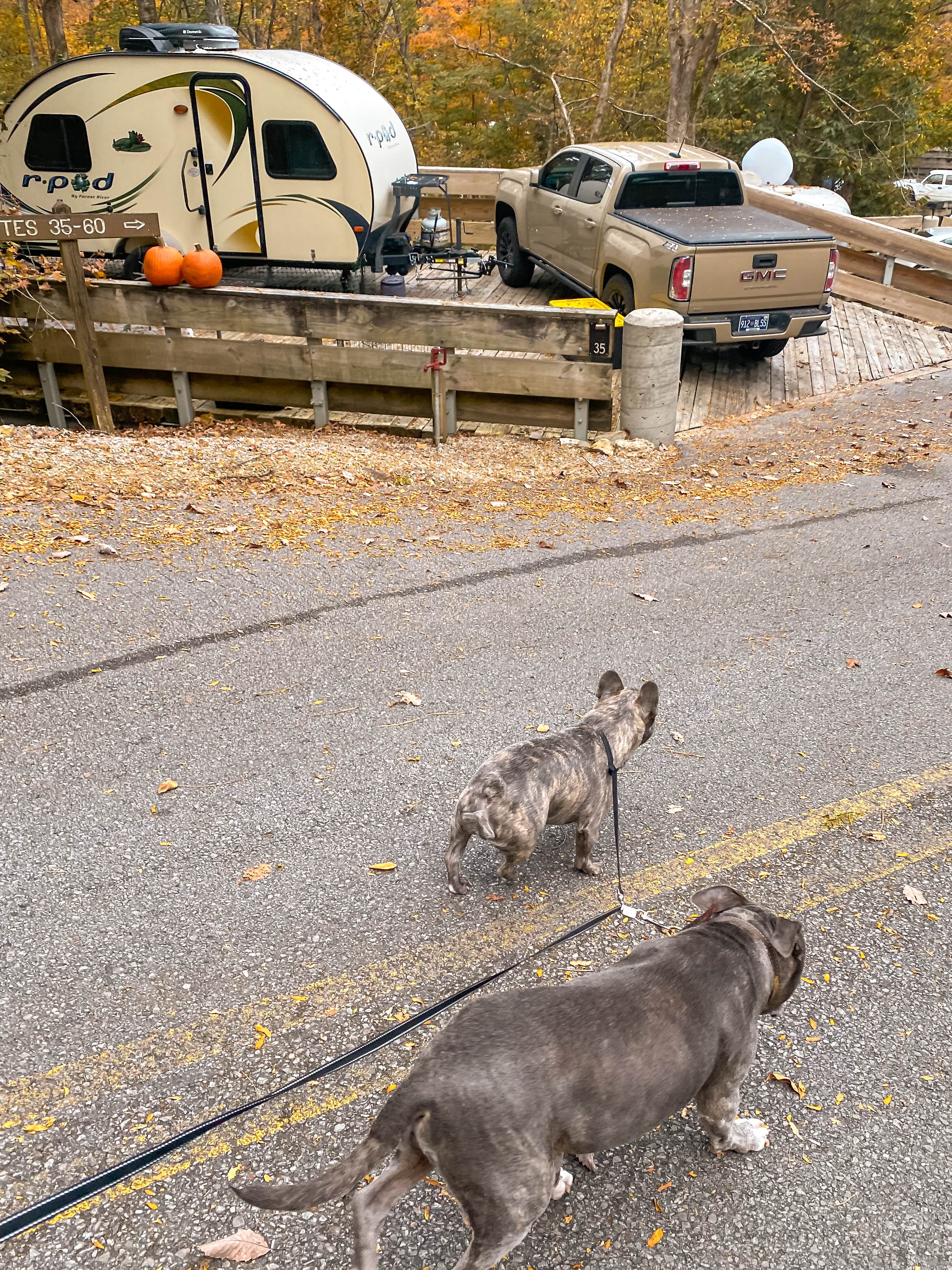 Karlie's photo at Edgar Evins State Park Campground near Stillhouse Hollow Lake