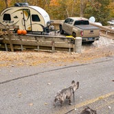 Review photo of Edgar Evins State Park Campground by Karlie , November 1, 2023