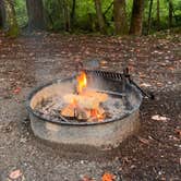 Review photo of Elkmont Campground — Great Smoky Mountains National Park by Tyler E., September 11, 2023