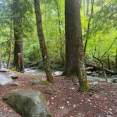 Review photo of Elkmont Campground — Great Smoky Mountains National Park by Tyler E., September 11, 2023