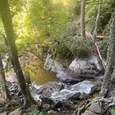 Review photo of Elkmont Campground — Great Smoky Mountains National Park by Tyler E., September 11, 2023