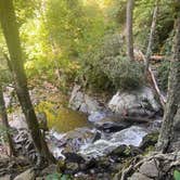 Review photo of Elkmont Campground — Great Smoky Mountains National Park by Tyler E., September 11, 2023