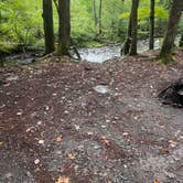 Review photo of Elkmont Campground — Great Smoky Mountains National Park by Tyler E., September 11, 2023