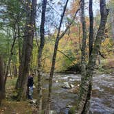 Review photo of Elkmont Campground — Great Smoky Mountains National Park by Shawn S., May 4, 2026