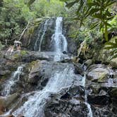 Review photo of Elkmont Campground — Great Smoky Mountains National Park by Taylor C., April 3, 2025