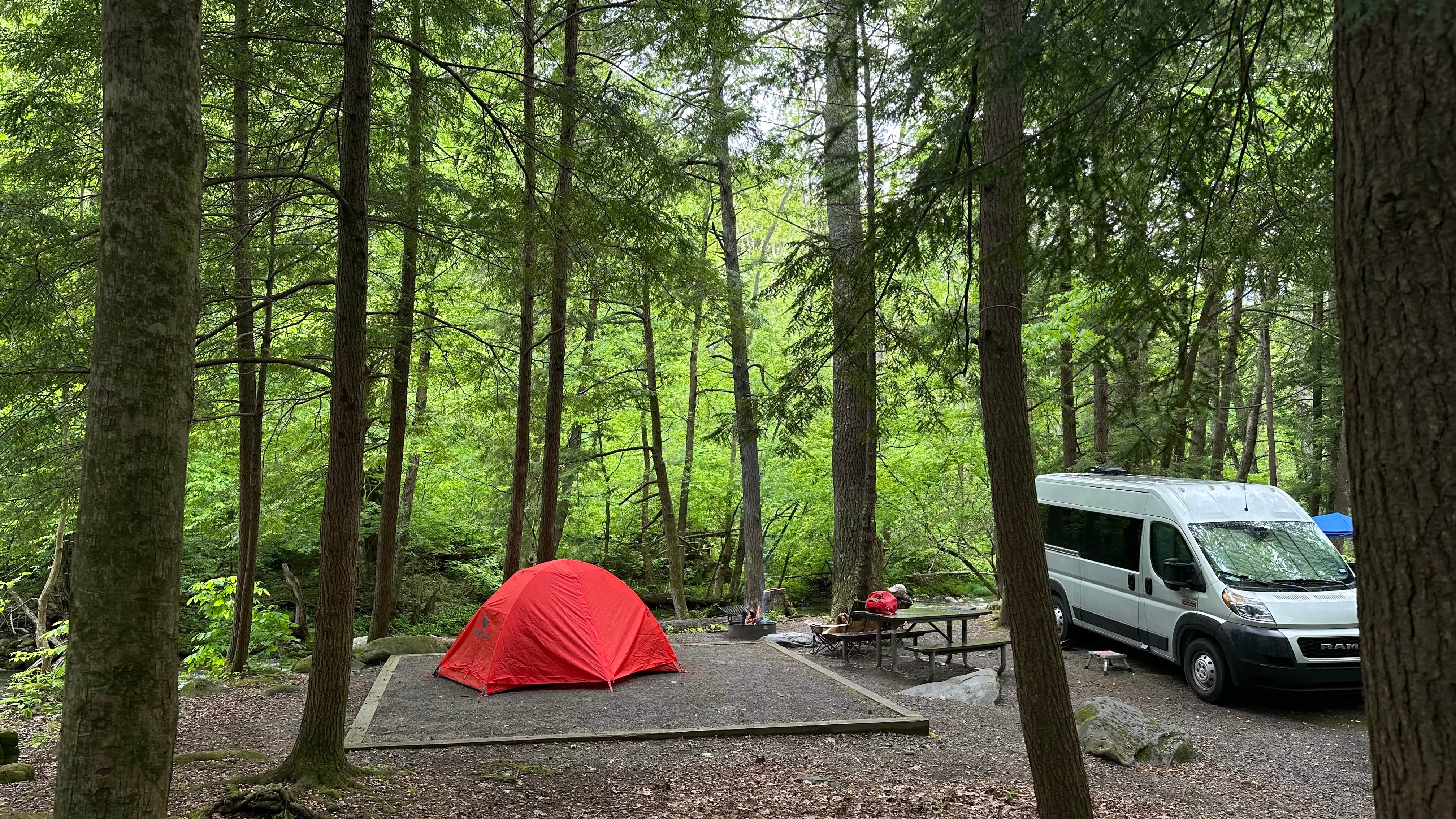 Cari E.'s photo at Elkmont Campground — Great Smoky Mountains National Park near Gatlinburg, TN