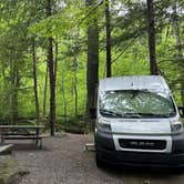 Review photo of Elkmont Campground — Great Smoky Mountains National Park by Cari E., February 7, 2026