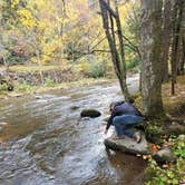 Review photo of Elkmont Campground — Great Smoky Mountains National Park by Shawn S., May 4, 2026
