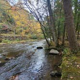 Review photo of Elkmont Campground — Great Smoky Mountains National Park by Shawn S., May 4, 2026